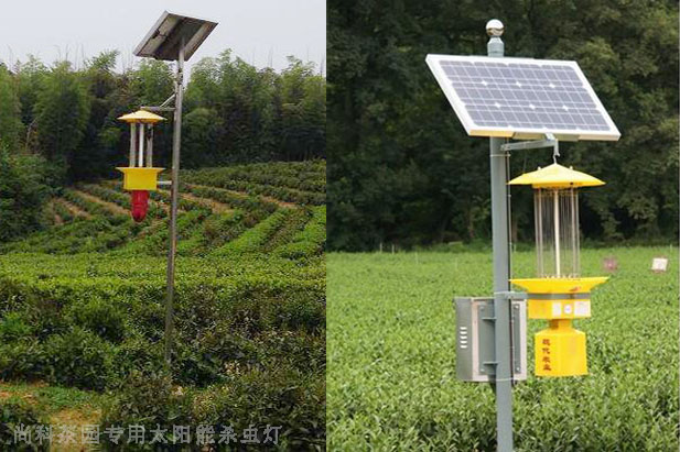遂川茶園太陽能殺蟲燈圖片案例
